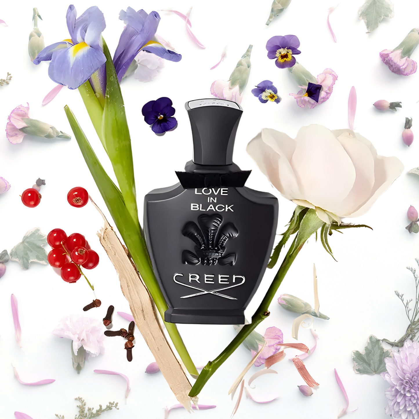 Creed, Love in Black Fragrance 2.5 oz